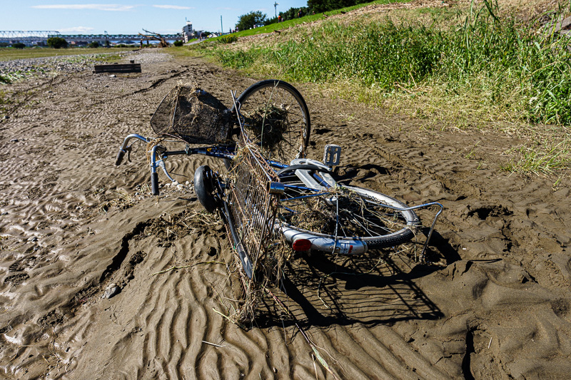 台風19号: 多摩川: 埋まった自転車